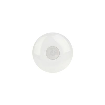 Sensor De Movimento Pir De Teto Hikvision Ds-pdcl12-eg2 12m 360°